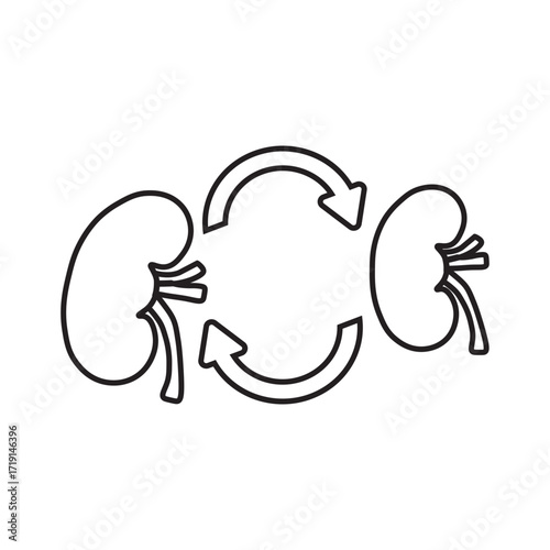 kidney transplant line icon