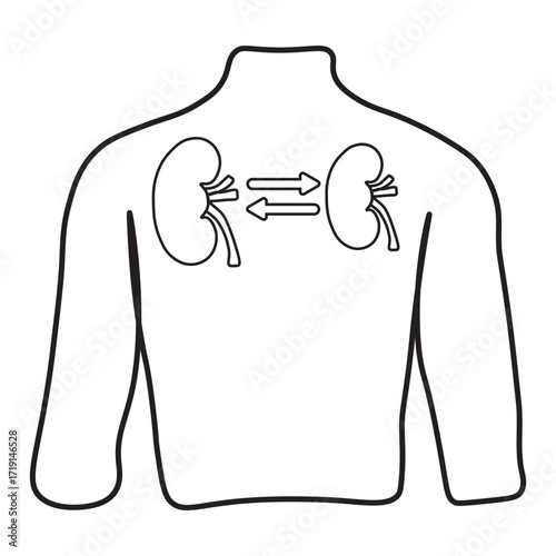 kidney transplant line icon