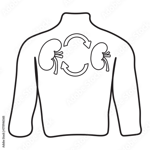kidney transplant line icon