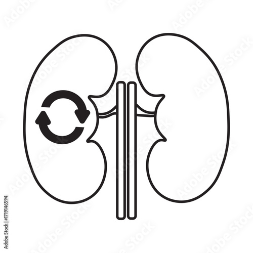 kidney transplant line icon