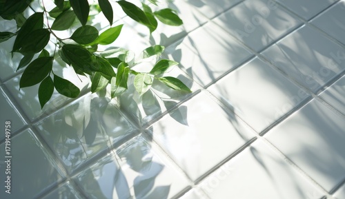 Wallpaper Mural Sunlight illuminates green leaves on white tile Torontodigital.ca