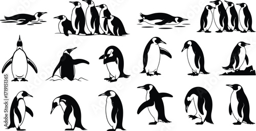 Penguin Bird Animal Icon Silhouette Set Wildlife Penguin Silhouette Icon Collection