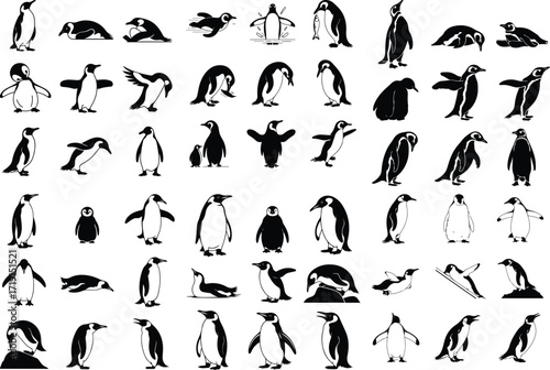 Penguin Bird Animal Icon Silhouette Set Wildlife Penguin Silhouette Icon Collection