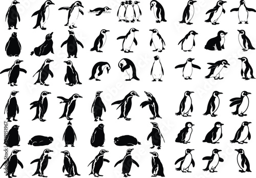 Penguin Bird Animal Icon Silhouette Set Wildlife Penguin Silhouette Icon Collection