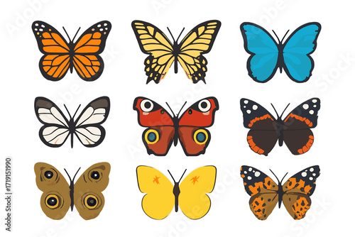 Butterfly Icon Collection. Flat icon set of butterflies: monarch, swallowtail, blue morpho, glasswing, peacock