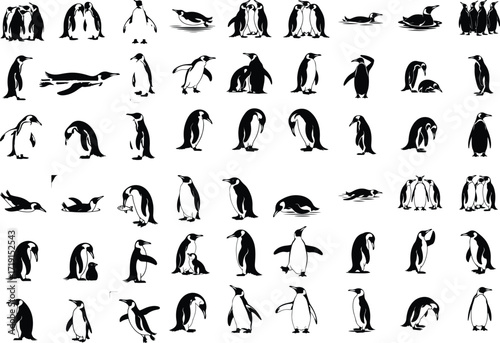 Penguin Bird Animal Icon Silhouette Set Wildlife Penguin Silhouette Icon Collection