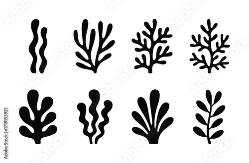 Collection of Black Silhouette Icons of Various Seaweed and Coral Forms