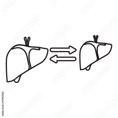 Liver Transplant Medical line Icon