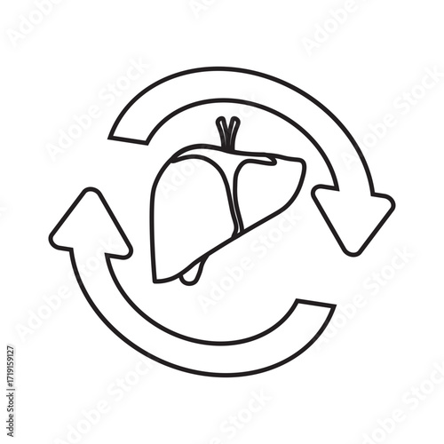 Liver Transplant Medical line Icon