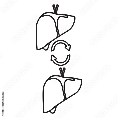 Liver Transplant Medical line Icon