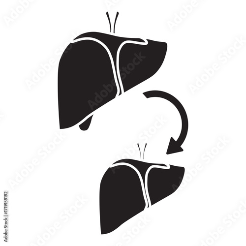 Liver Transplant Medical Glyph Icon