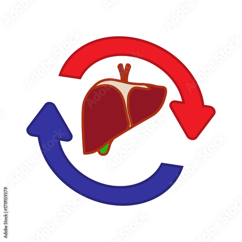 Liver Transplant Medical Icon