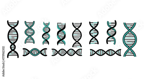 Set of hand drawn DNA double helix structures in sketch style. Vector Illustrations. EPS Editable