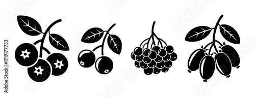Black and White Icons of Various Berries on Branches with Leaves