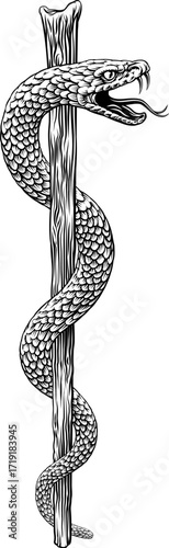Rod of Asclepius staff medical symbol. Intertwined snake around a rod or wooden staff. Often mistakenly called a Caduceus. Doctor icon for medicine and health care. Vintage woodcut etching style.