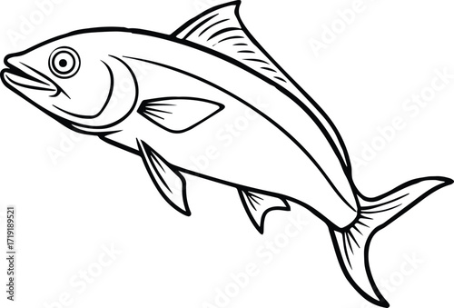 mahi mahi fish line art, black outline, vector and illustration