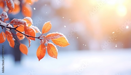 Vivid orange leaves, lightly snow-dusted, against a blurred, sunlit winter background with delicate falling snowflakes