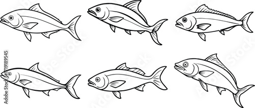 Set of mahi mahi fish line art, black outline, vector and illustration