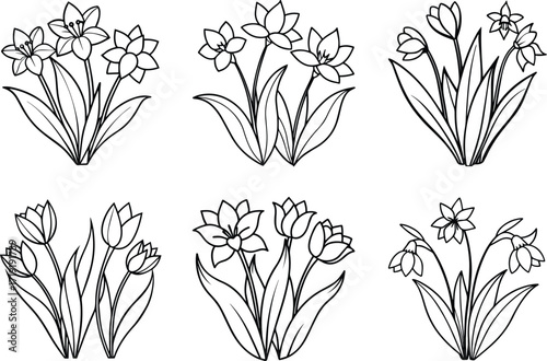 Set of spring flowers line art, black outline, vector and illustration