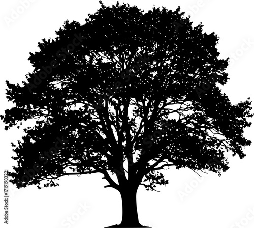 a detailed silhouette of a lush, full tree with dense foliage, isolated on a clean white background, stark contrast, dark and light, monochrome