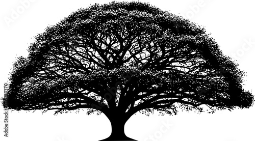 a detailed silhouette of a lush, full tree with dense foliage, isolated on a clean white background, stark contrast, dark and light, monochrome
