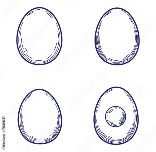 Hand drawn egg illustrations showcasing various stages of preparation and depiction with detailed lines
