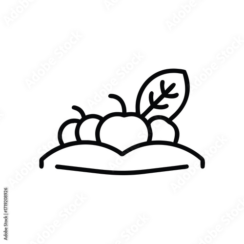 Autumn Harvest, Farm Produce, Crop Gathering, Seasonal Harvest, Golden Fields