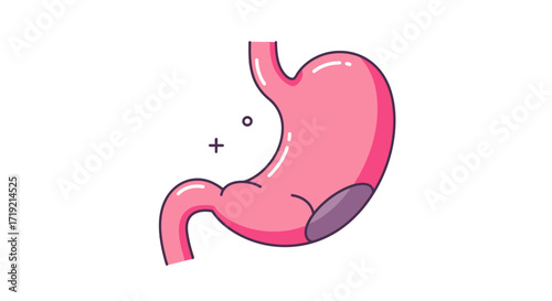 Visualize the human stomach in bright colors, perfect for medical illustrations and educational materials, offering a clear and modern anatomical view for health awareness campaigns