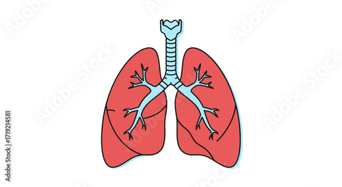 Breathe Easy with this Anatomical Illustration of Human Lungs and Bronchial Tree, Perfect for Medical Education or Healthcare Promotion, Depicting Respiration and Pulmonary Health