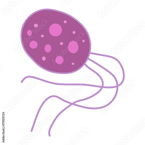 Pyrococcus furiosus