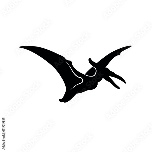 Dinosaur Clipart Black And White