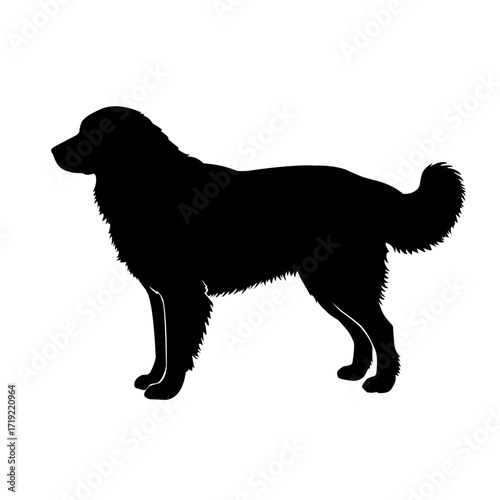 Vector silhouette of a dog standing, detailed fur outline, isolated on white background. Perfect for pet design, animal logo, and graphic illustration