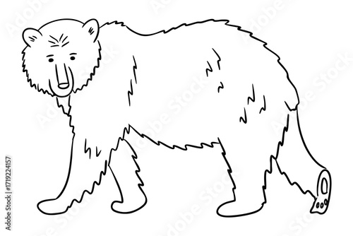 Hand drawn outline of a walking bear with simple details and clean black lines. Concept of wildlife, nature and minimalistic animal illustration for coloring or education