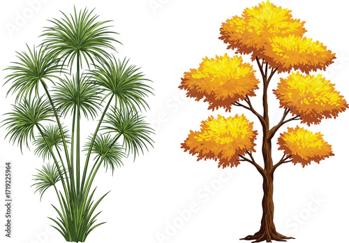 Autumn tree with yellow leaves and tropical papyrus plant illustration showing seasonal contrast and botanical diversity in nature landscape design