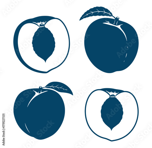 Vector illustration of four stylized peaches showing whole and cut sections on white background