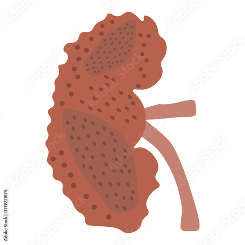 chronic kidney disease