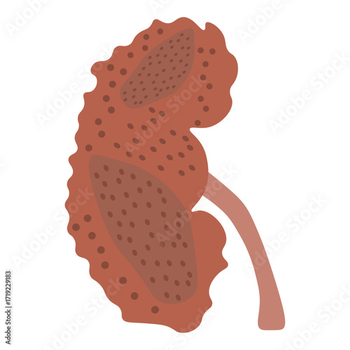 chronic kidney disease