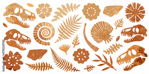 Collection of fossilized dinosaur skulls ammonites ferns and seashells in warm earth tones
