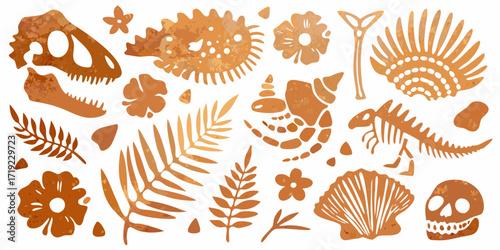 Collection of ancient fossilized objects including dinosaur skeletons skulls shells ferns and prehistoric flowers
