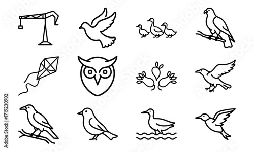 Collection of Line Art Icons – Birds, Flying Dove, Duck Family, Owl Face, Hummingbird, Parrot, Kite, Crane, and Decorative Floral Symbol Outline on White Background