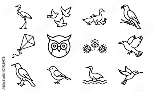 Collection of Line Art Icons – Birds, Flying Dove, Duck Family, Owl Face, Hummingbird, Parrot, Kite, Crane, and Decorative Floral Symbol Outline on White Background