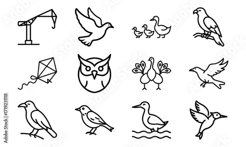 Collection of Line Art Icons – Birds, Flying Dove, Duck Family, Owl Face, Hummingbird, Parrot, Kite, Crane, and Decorative Floral Symbol Outline on White Background
