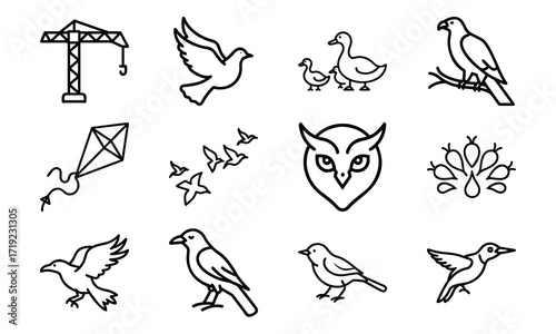 Collection of Line Art Icons – Birds, Flying Dove, Duck Family, Owl Face, Hummingbird, Parrot, Kite, Crane, and Decorative Floral Symbol Outline on White Background