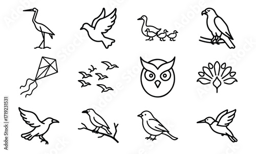 Collection of Line Art Icons – Birds, Flying Dove, Duck Family, Owl Face, Hummingbird, Parrot, Kite, Crane, and Decorative Floral Symbol Outline on White Background