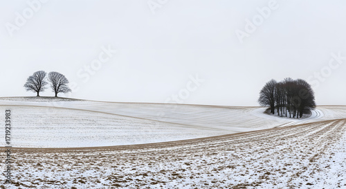 Winter Landscape with Trees Snow Covered Field minimal Nordic feel