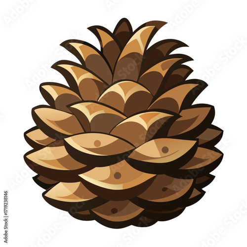 pine cones on white background