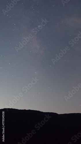 Milky Way over Mountain Forest at Night (Vertical, Timelapse, PANNING)