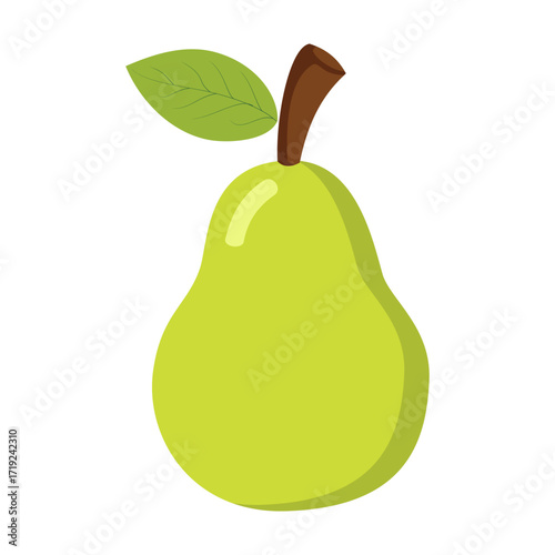 This is a vector image of an avocado fruit.