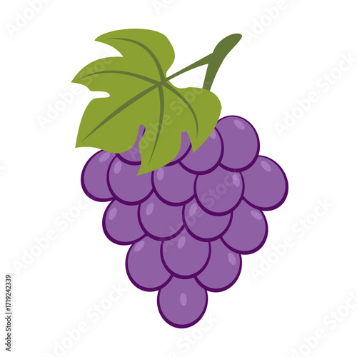 this is a vector image of a grape