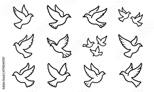 Collection of Line Art Icons – Birds, Flying Dove, Duck Family, Owl Face, Hummingbird, Parrot, Kite, Crane, and Decorative Floral Symbol Outline on White Background